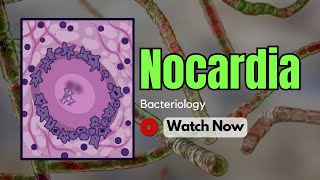 Nocardia Types Symptoms Pathogenicity and Diagnostic Techniques  Bacteriology [upl. by Dahc464]