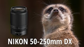 NIKON 50250mm f4563 VR  REVIEW [upl. by Beverlee583]