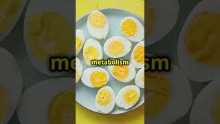 🥚5 Foods to FastTrack Your Fat Loss [upl. by Nylissej932]