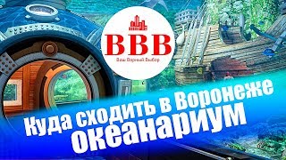 КУДА СХОДИТЬ В ВОРОНЕЖЕ СИТИ ПАРК ГРАД ОКЕАНАРИУМ ВОРОНЕЖ [upl. by Dnivra]