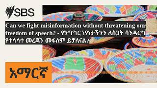 Can we fight misinformation without threatening our freedom of speech  የንግግር ነፃነታችንን ለስጋት [upl. by Alard]