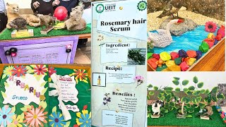 Science Exhibition In University🌸 Department Of Zoology amp Botany FINAL YEAR PRODUCTS AND MODELS🏕️ [upl. by Sapienza]