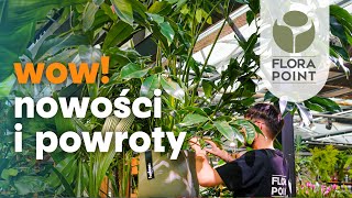 Powroty i nowości Niespotykana palma i hitowe hoje 🌺  przegląd nowości  Flora Point [upl. by Callan481]