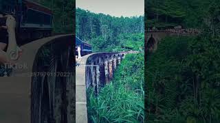 s14 podi manike badulla to colombo train pasing nine arch bridge [upl. by Haas]