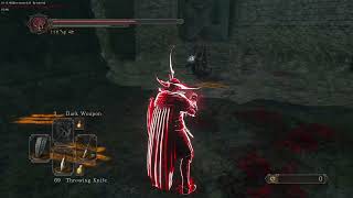 DARK SOULS II Invasion with Kamen Rider Diend Theme Song [upl. by Rodney]