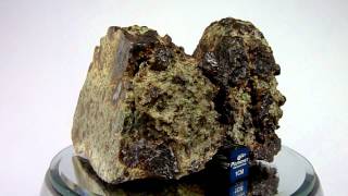 Meteorite NWA 8251 Achondrite Lodranite Breccia [upl. by Radborne]