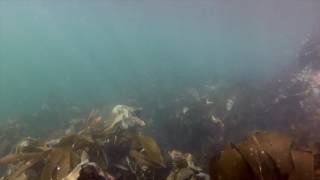 Gruinard Bay  Beneath the Waves [upl. by Esinehc535]