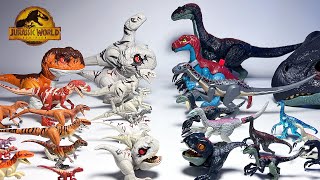 Atrociraptor VS Therizinosaurus Jurassic World Dominion Collection Showcase [upl. by Aicerg]