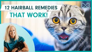 12 Remedies to Banish Cat Hairballs  That Actually Work [upl. by Nylrats996]