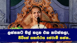 දැන් මට පින් කරන්නත් බයයි ස්වාමීනි  VenKirulapana Dhammawijaya Thero [upl. by Gnud979]