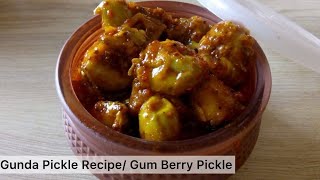 How To Make Instant Pickle Ready To Eat  Lasode Ka Achar Bhokarache Lonche In MarathiPickleAchar [upl. by Amelina]