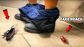 FAKE ROACH 🪳 IN BATHROOM PRANK [upl. by Lepine]