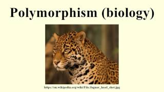 Polymorphism biology [upl. by Brunell173]