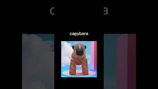 Capybara édit roblox capybara robloxedit [upl. by Tankoos]