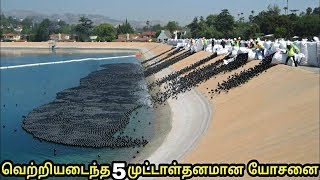 மாபெரும் வெற்றி பெற்ற 5 முட்டாள் தனமான முயற்சிகள்  5 crazy ideas that worked very well  tamil [upl. by Willyt]