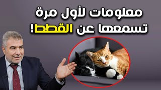 معلومات عن القطط لأول مرة تسمعها ولماذا النبي الكريم اعتنى بالقطط؟ [upl. by Streeto499]