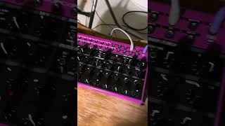 Behringer Edge amp SY1 Syncussion jam [upl. by Ojaras]