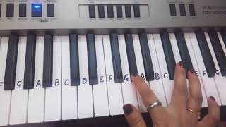 Pankhida O Pankhida Kali maa Bhajankeyboard TutorialPianoHarmoniumSlow Tutorial for beginners [upl. by Ignacia]