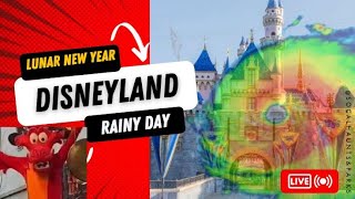 Closing EARLY LIVE Disneyland rainy day at the park Come watch us get Drenched [upl. by Anailil]