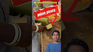 rujak pohon pisang di jalanan india omset jutaan perhari food kuliner rujak streetfood makan [upl. by Goulet]