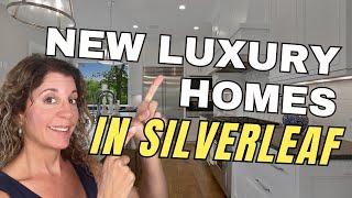 Luxury New Homes for Sale in St Johns County Florida  Newbrook [upl. by Ahsinej425]