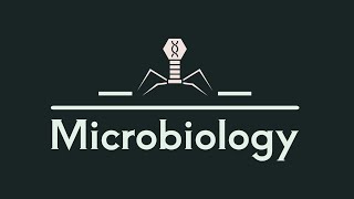 L1 microbiology salmonella and enteric fever [upl. by Daas189]