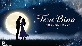 tere bina songs  hindi love song  romantic song [upl. by Spring]