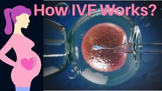 IVF Procedure Step by Step Animation [upl. by Euhc]