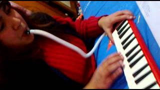 Opening de ranma 12 en melodica [upl. by Manon]