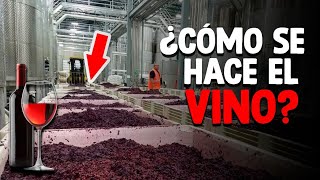 Cómo Se Fabrica El VINO Proceso En Fábrica [upl. by Carrissa]