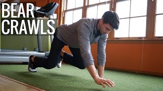 Bear Crawl Exercise  Kinetic Sports Rehab [upl. by Turrell]