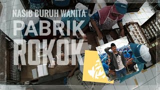 Rokok Merugikan Lihat Dulu Video ini  Grebek Pabrik Djarum [upl. by Drarreg]