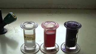 Microscopic Staining for Blood Parasites  MultiLingual Captions [upl. by Marron]