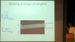 Iftach Nachman  Probing Dynamics of Cell Decisions with Microfuidic Devices [upl. by Yekcaj]