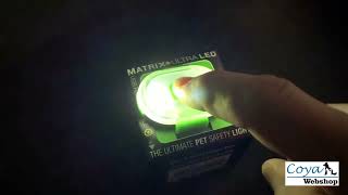 Max amp Molly  Ultra Led [upl. by Lirva]