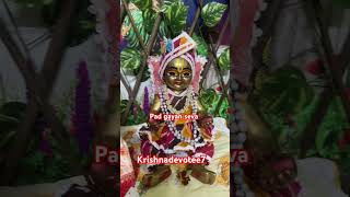 Pad gayan seva krishnadevotee7 shriharivansh laddugopal krishna [upl. by Knipe]