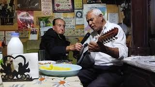 Mehmet Çamdibi  Mehtaplı Gecelerde Hep Seni Andım cümbüş şarkı müzik erolrüzgar [upl. by Eerahc884]