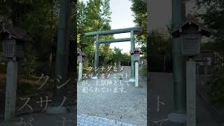 櫛田神社に行ってきました⛩️☺️神社参拝 神社 [upl. by Tate979]