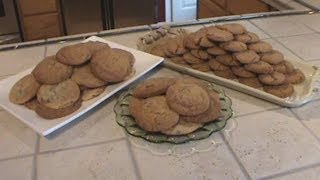 Chocolate Chip amp Gingersnap Cookies [upl. by Justinn330]