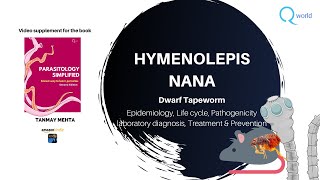 Hymenolepis nana Dwarf Tapeworm Parasitology simplified tutorials For NEETPG NEXT USMLE PLAB [upl. by Darnall428]