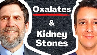 Oxalates amp Kidney stones  Dr David Goldfarb MD [upl. by Jacqui]