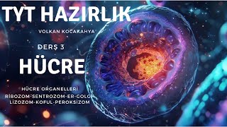 Hücre organelleri MitokondriKloroplast ve 30dan fazla soru çözümü yks2025 [upl. by Nelyaw]