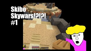 Skibo Skywars 1 [upl. by Ailadgim]