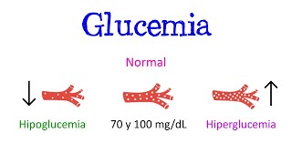 💥 Glucemia Hipoglucemia e Hiperglucemia 💥 ¿Qué son Características y Síntomas Fácil y Rápido [upl. by Kylander]