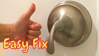 How to Repair a Dripping Kohler Shower Valve [upl. by Notirb]