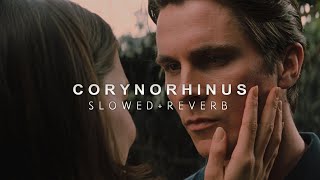 Batman Begins  Corynorhinus Slowed  Reverb [upl. by Noyr]