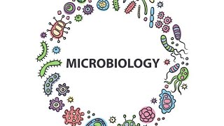 SalmonellaMicrobiologyPathologyMBBS [upl. by Settera]