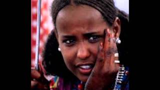 shamasedin Best Old oromo song [upl. by Thornie]