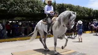 CABALLO BAILADOR EN DEGOLLADOJAL JUL 31 DEL 2016 [upl. by Warwick]