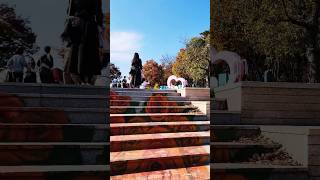 Grand Park🍁🍂⛄shortsvisitkoreaviralvideo [upl. by Maurreen959]